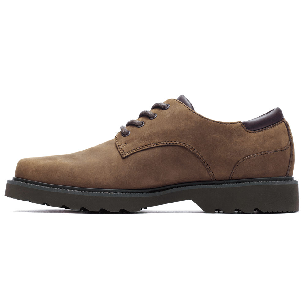 Rockport Oxfords Herre Mørke Brune - Northfield Waterproof - MCRV25461